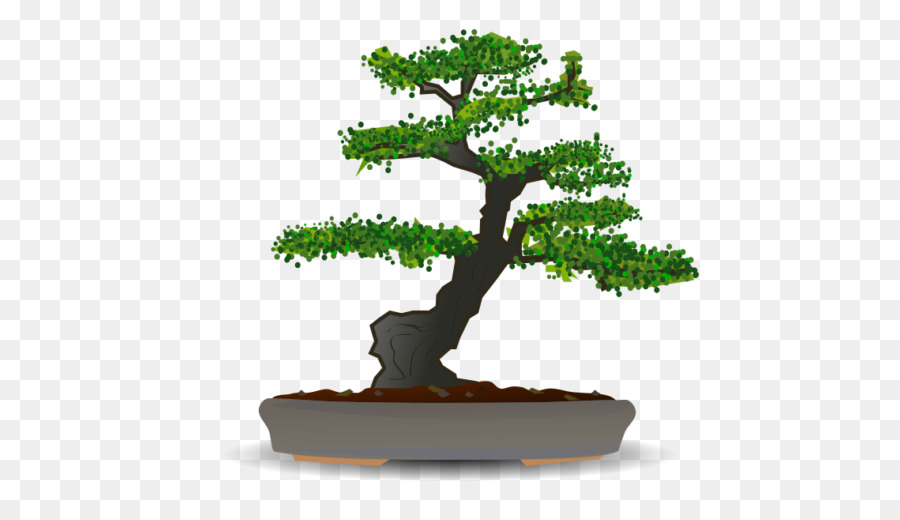 Árbol Bonsái，Planta PNG