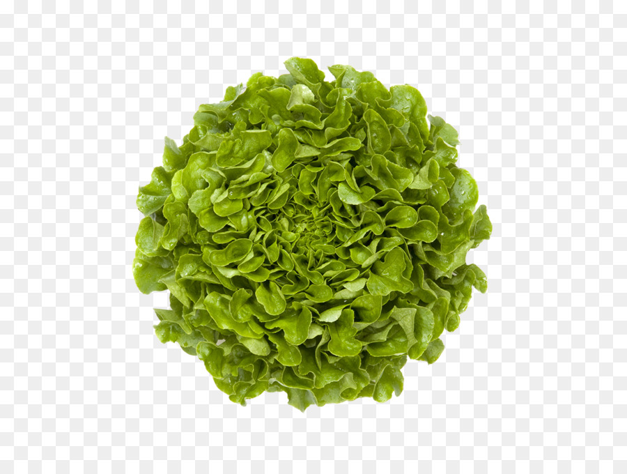 Hoja Vegetal，Mezclum PNG