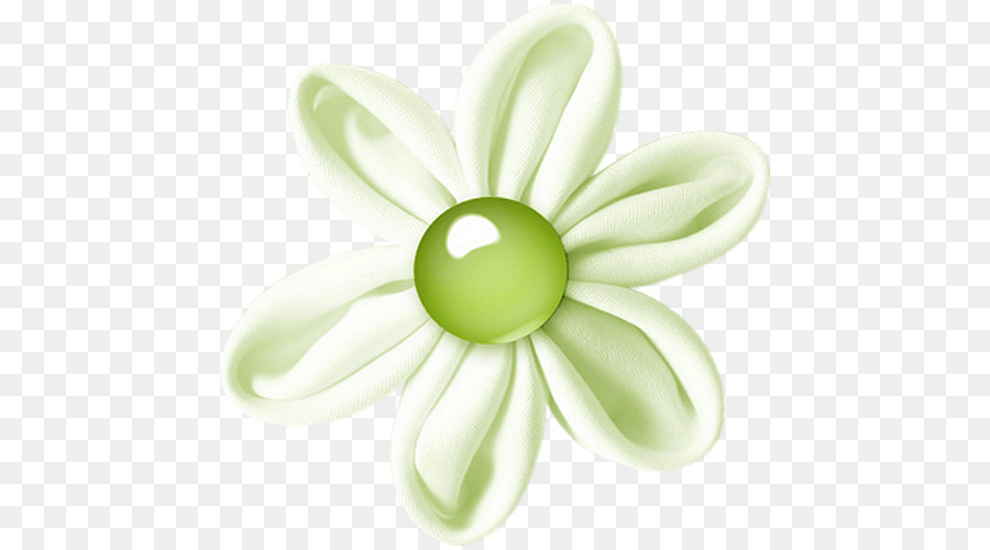 Flor，Florecer PNG