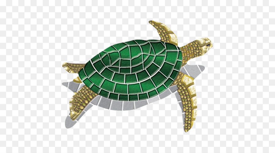 Tortuga，Tortuga De Mar PNG