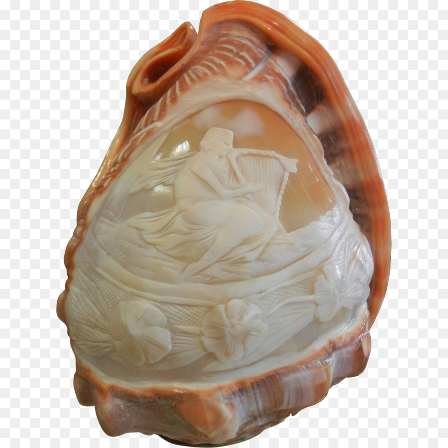 Almeja，Shankha PNG