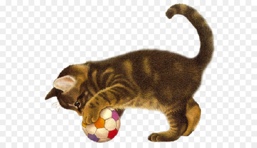 Gatito，Jugando PNG