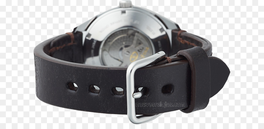 Orient Watch，Reloj PNG