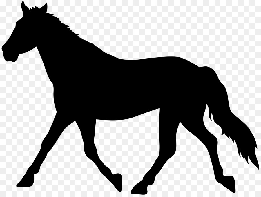 Caballo，Fondo De Escritorio PNG