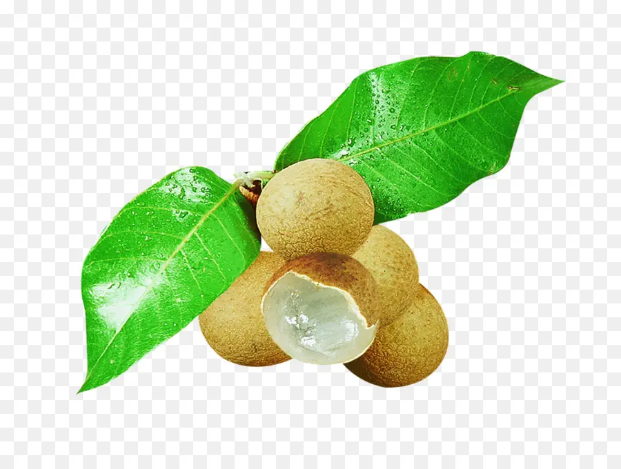 La Fruta，Longan PNG