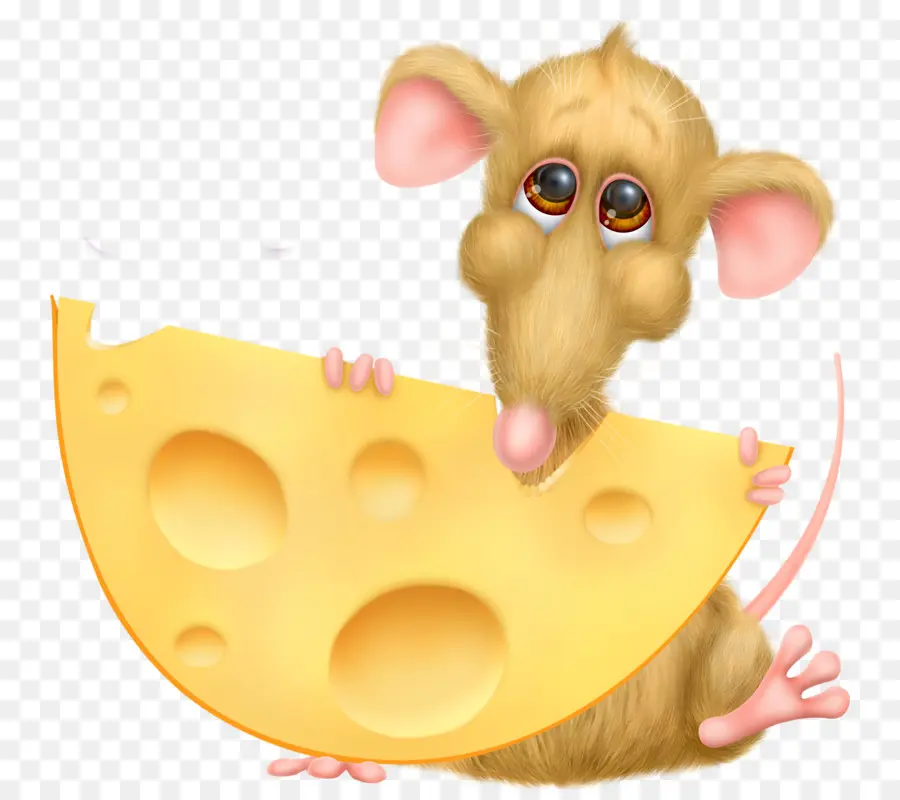 Queso，Dibujo PNG