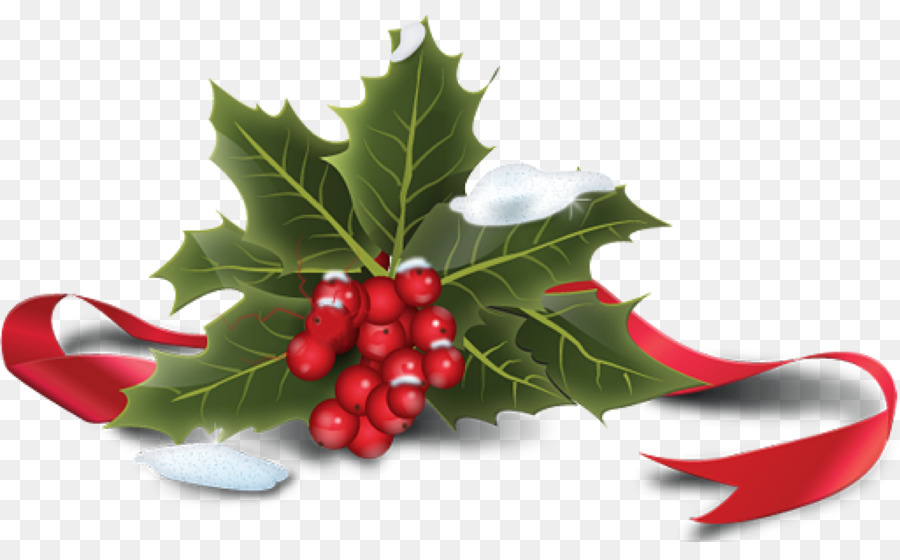 Acebo Con Frutos Rojos，Navidad PNG