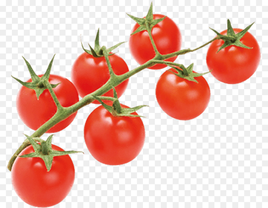 Tomates，Fruta PNG