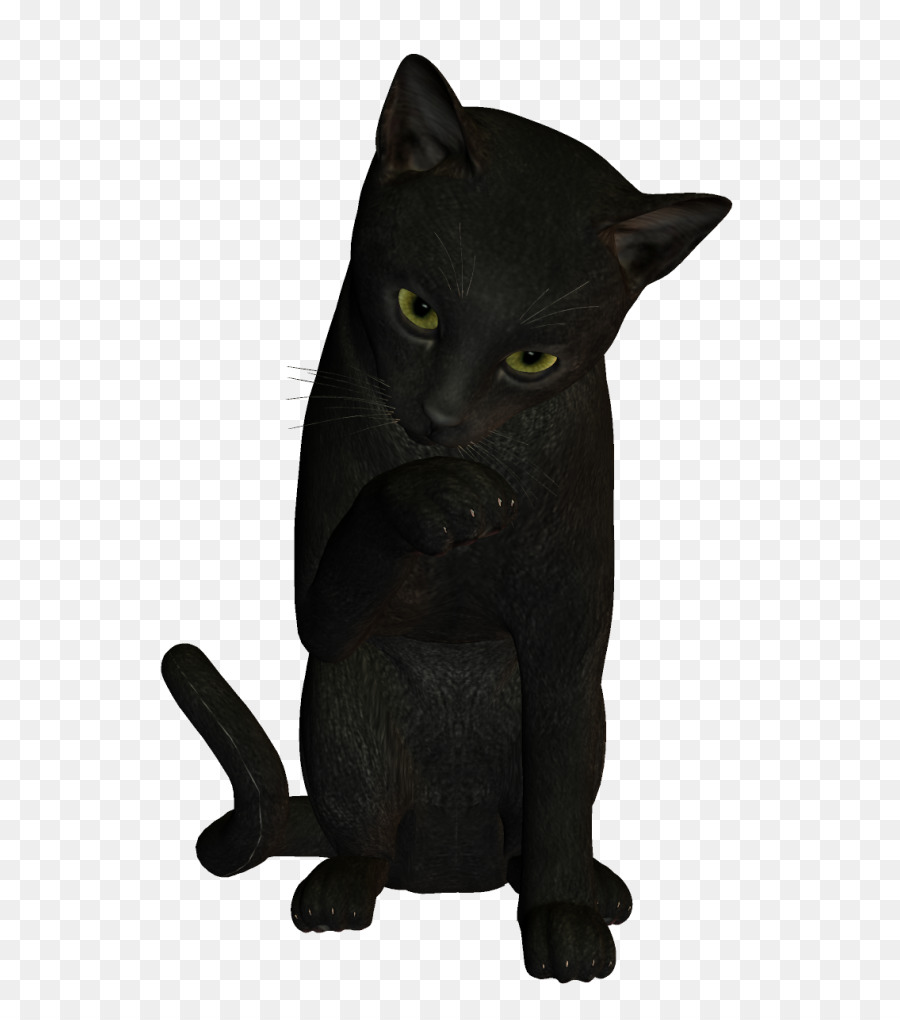 Gato Negro，Mascota PNG