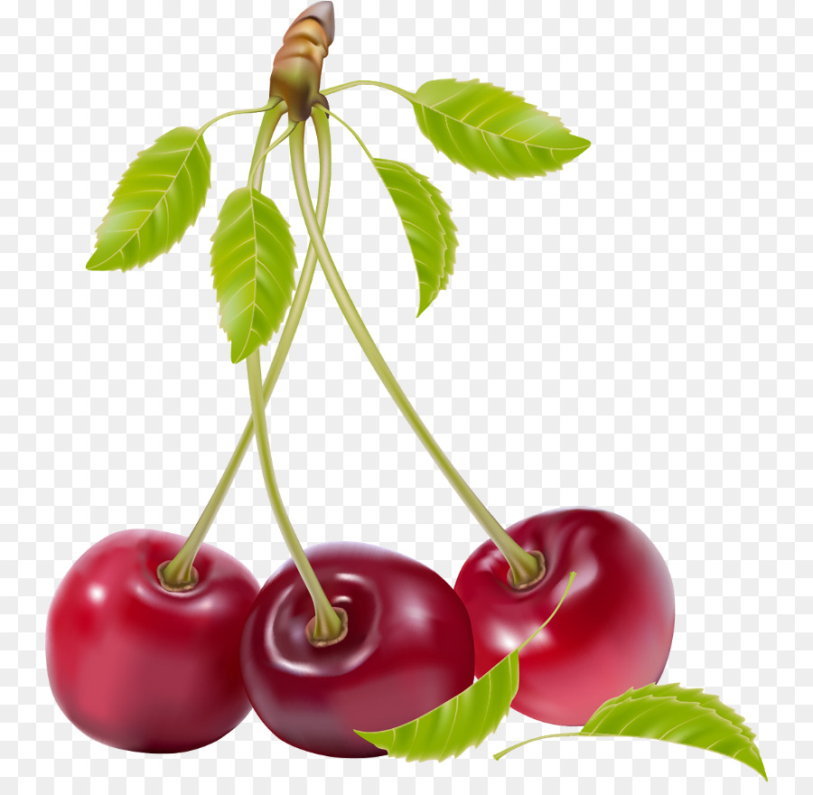 Pastel De Cerezas，Cereza PNG