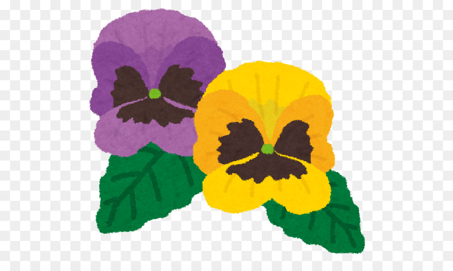 Pansy，ビオラ PNG