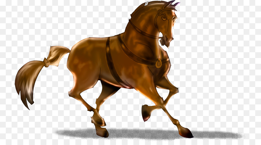 Caballero，Autor PNG