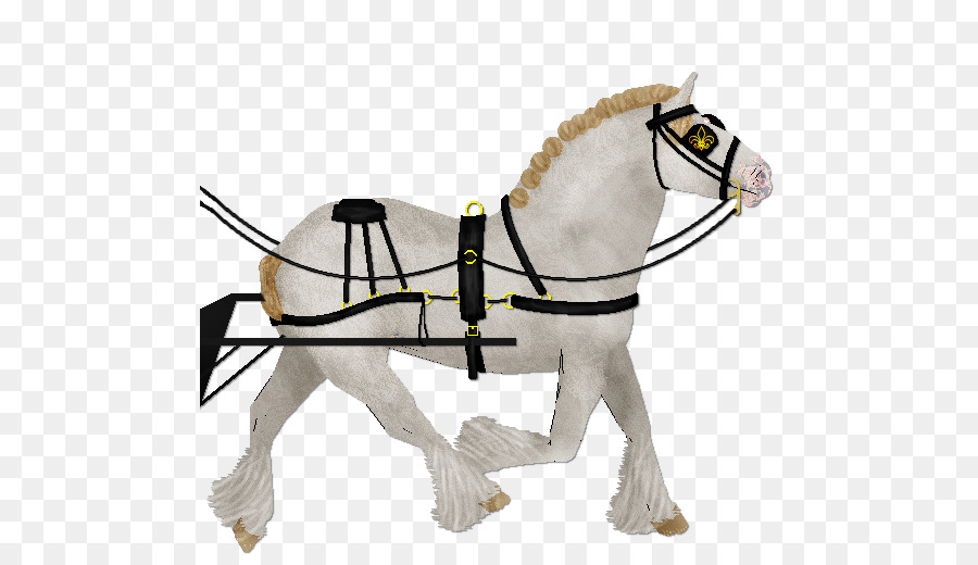 Pony，Los Arneses De Caballo PNG