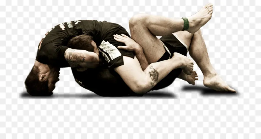 Lidiando，Jiujitsu Brasileño PNG