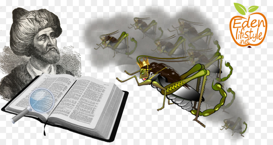 Los Insectos，Giclée PNG