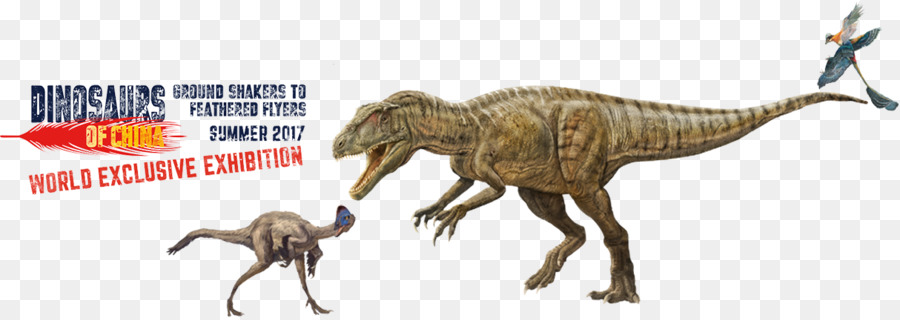 Banner De Exposición De Dinosaurios，Dinosaurios PNG