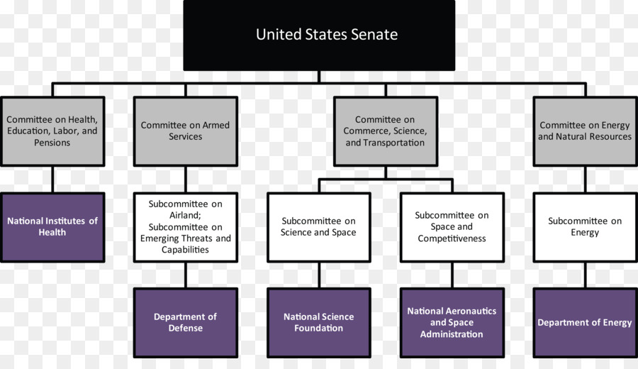 Organización，Diagrama De Flujo PNG