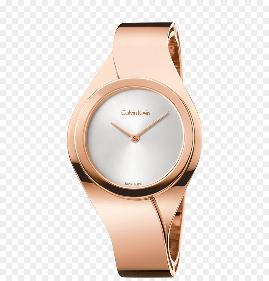 Calvin Klein，Reloj PNG