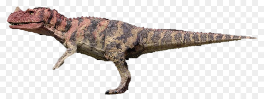 Tyrannosaurus，Ceratosaurus PNG