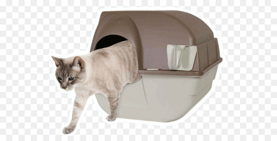 Gato，La Arena De Gato Bandejas PNG