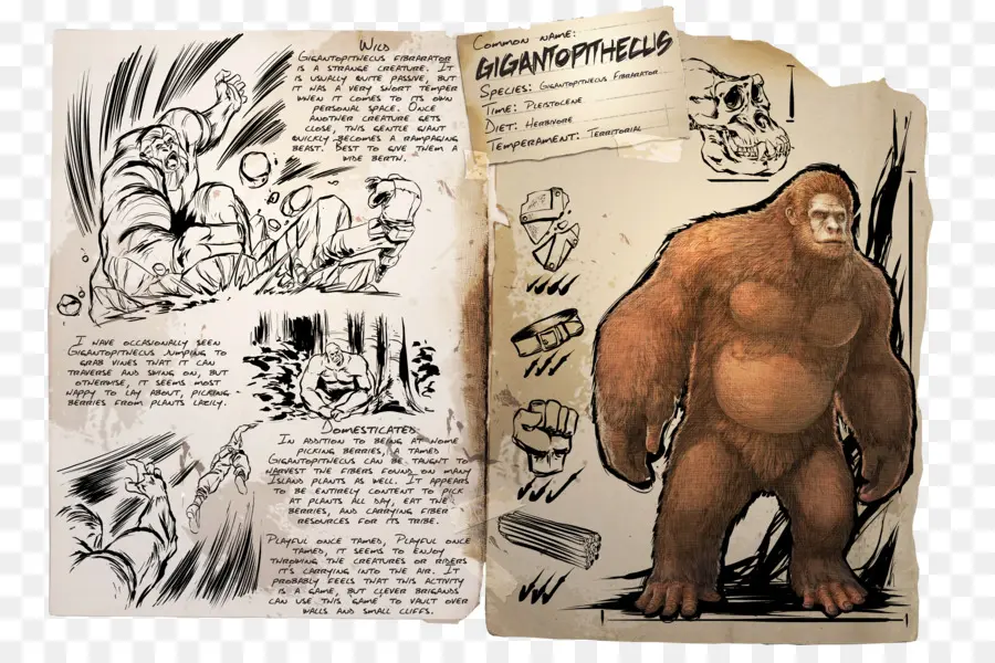 Arca De Supervivencia Evolucionado，Gigantopithecus PNG