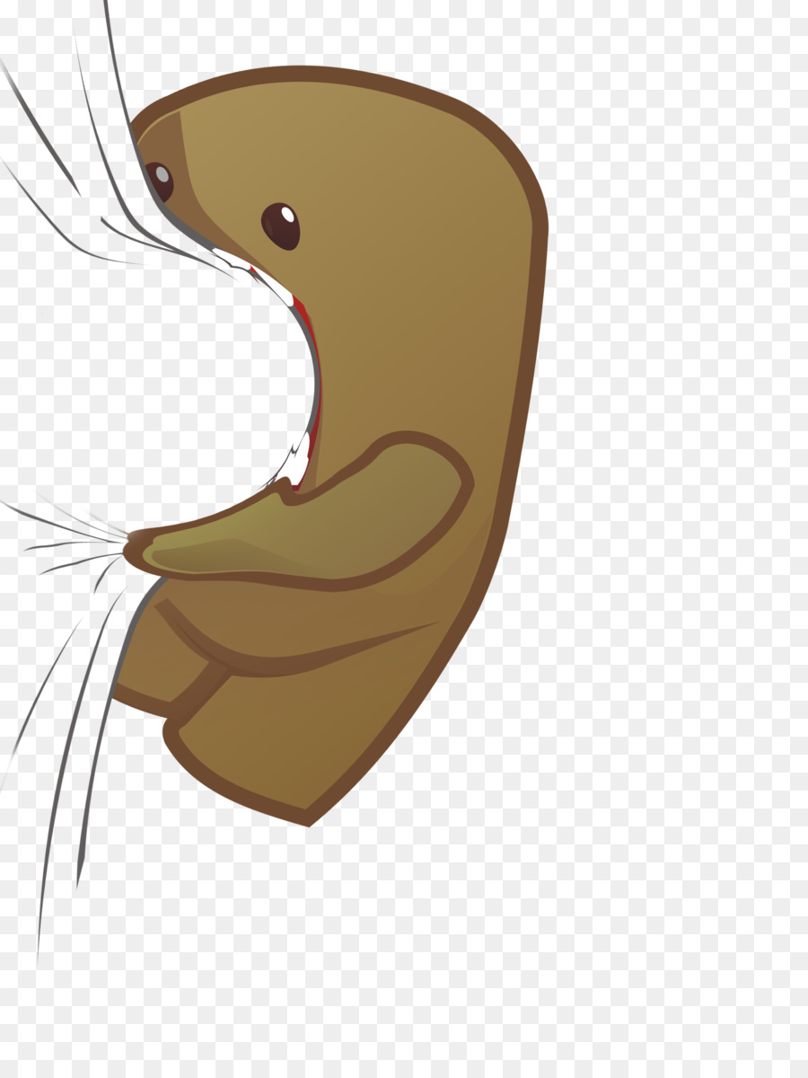 Domo，Dibujo PNG