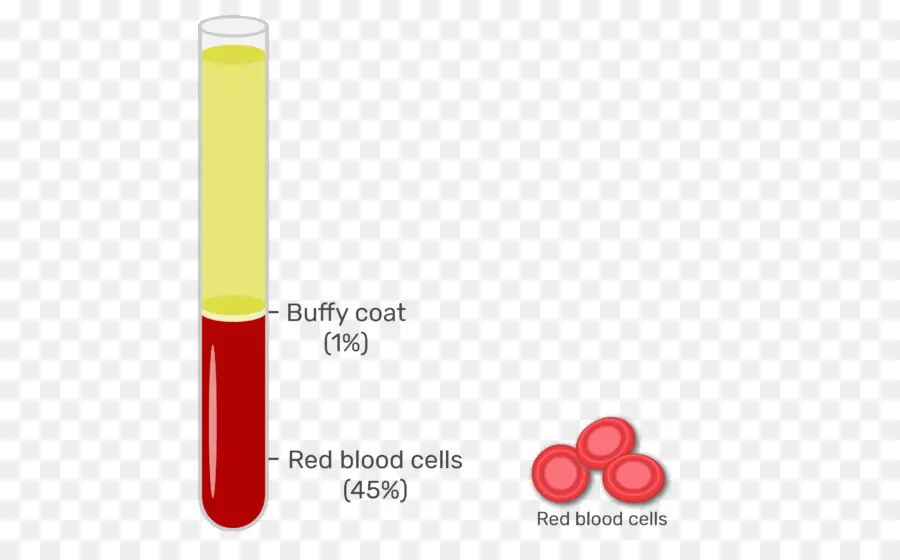 Sangre，Plasma PNG