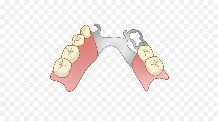 Dentadura Postiza，Dientes PNG