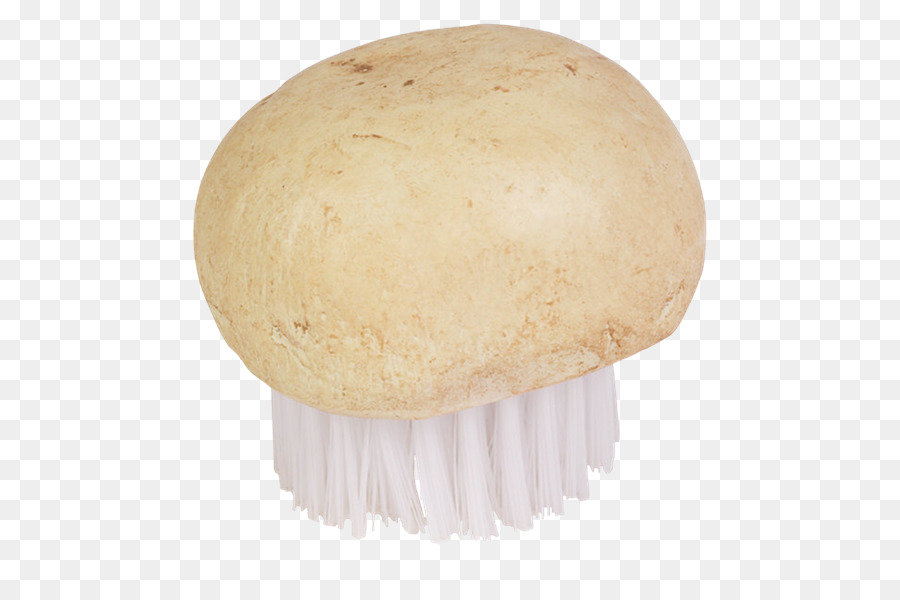 Agaricaceae，Medicina PNG