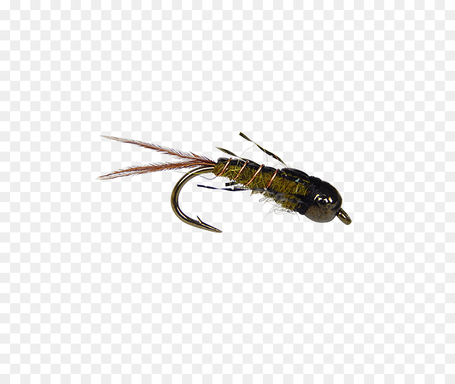 Artificial De La Mosca，La Pesca Con Mosca PNG