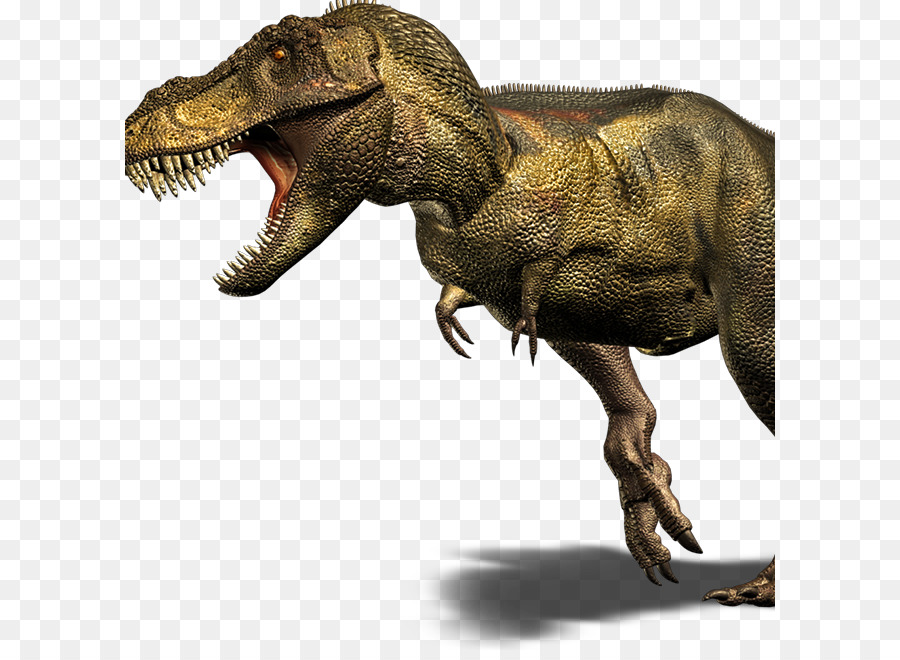 Gigantosauro，Velociraptor PNG