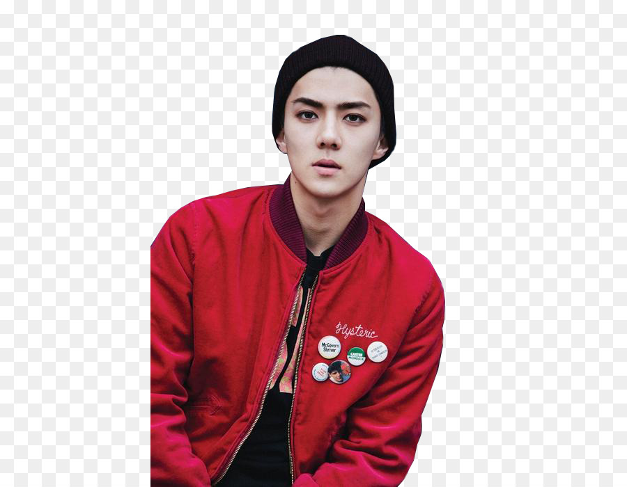 Sehun，Exo Planet 2 Exo Luxion PNG