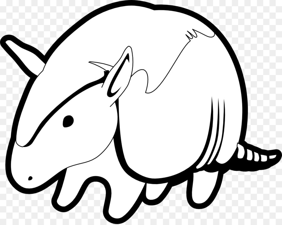 Armadillo，Animal PNG