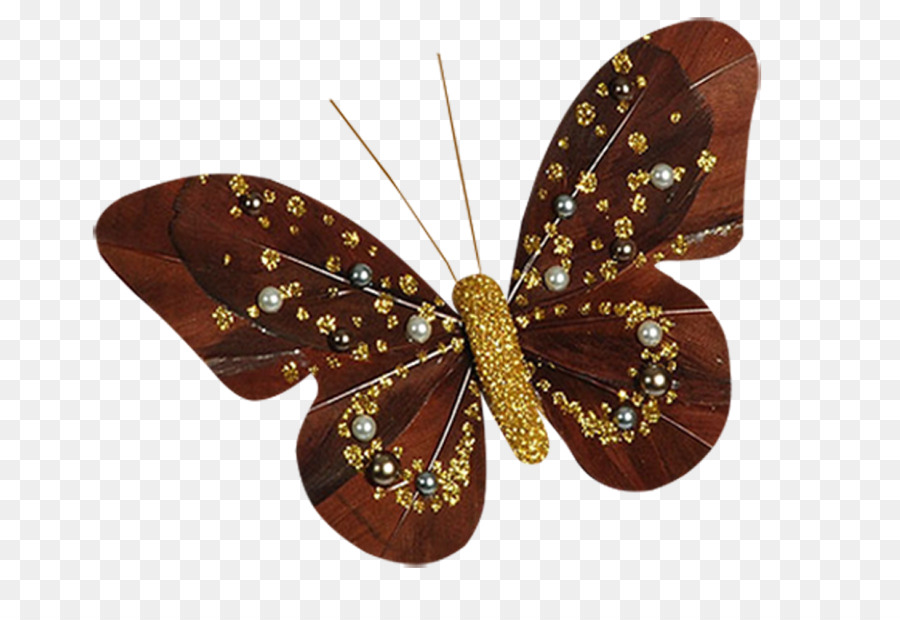 Mariposa，La Polilla PNG