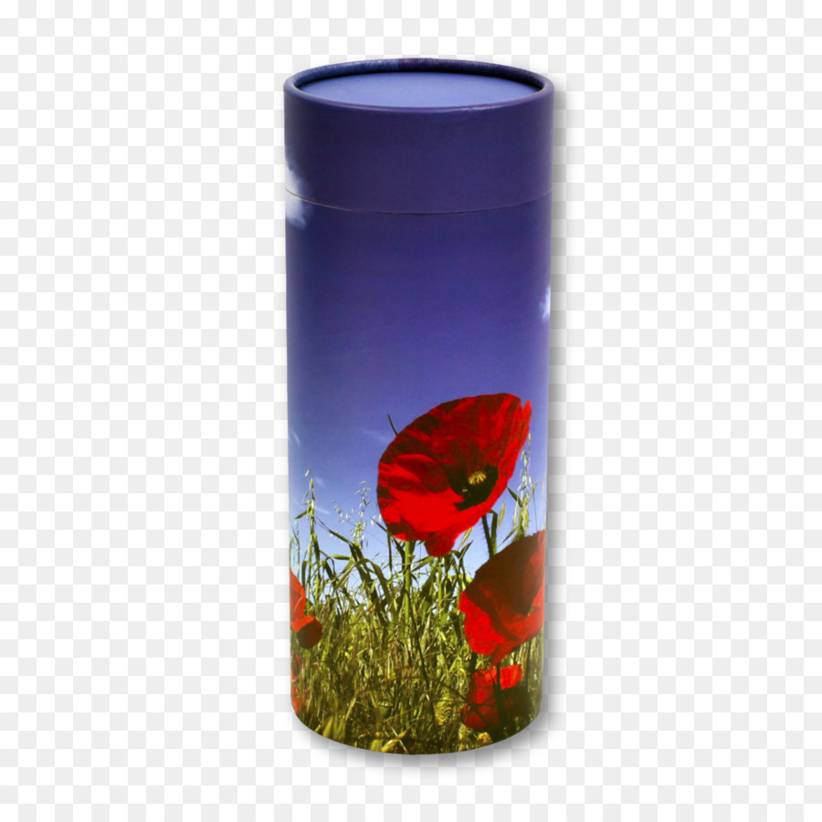 Flor，Florero PNG