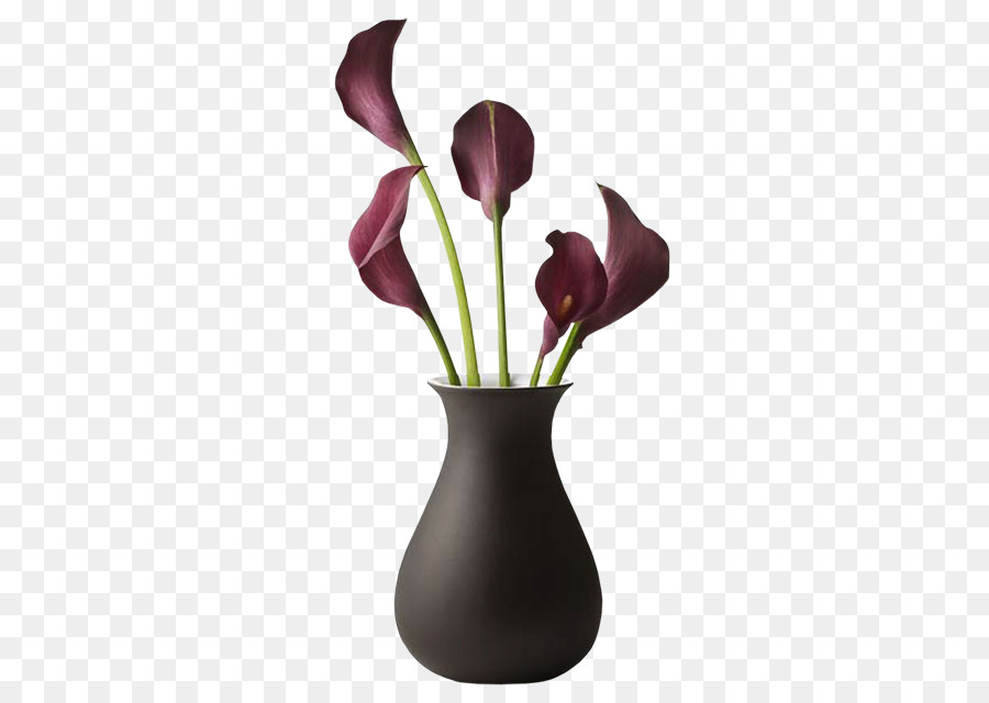 Las Flores Cortadas，Florero PNG