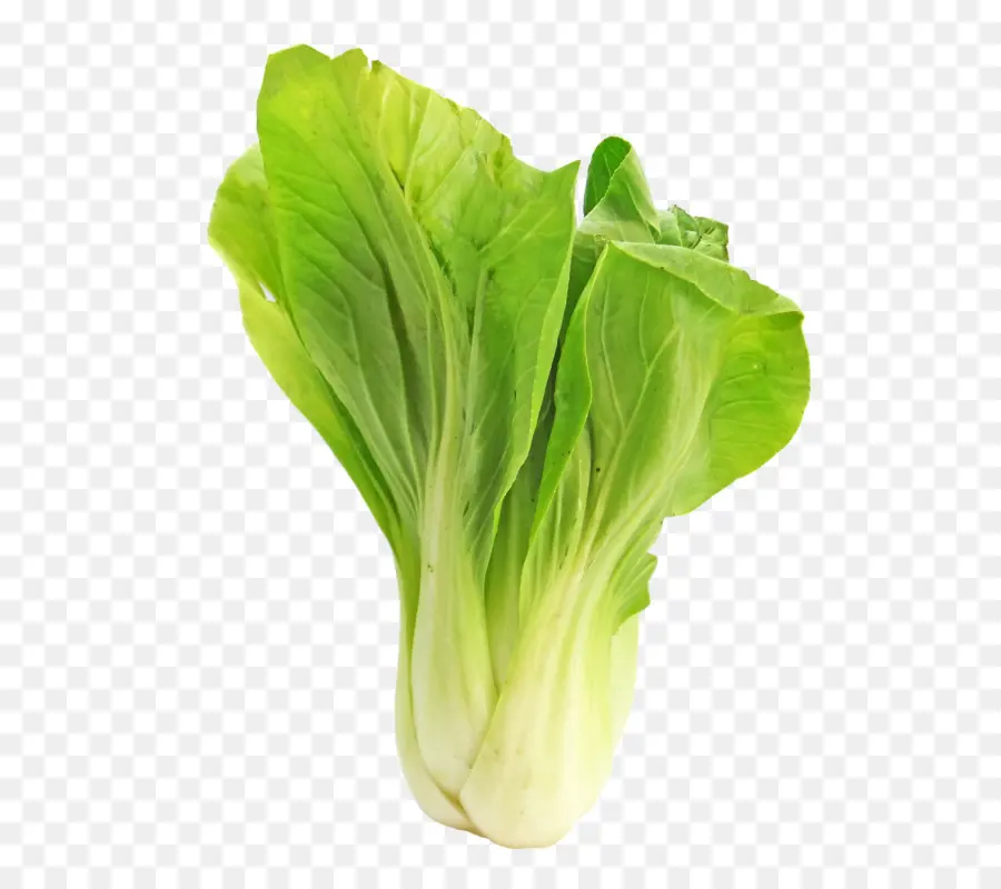 Cocina Vegetariana，Bok Choy PNG