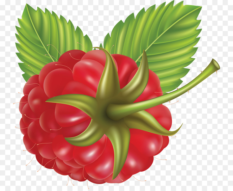 Uvas Rojas，Racimo PNG