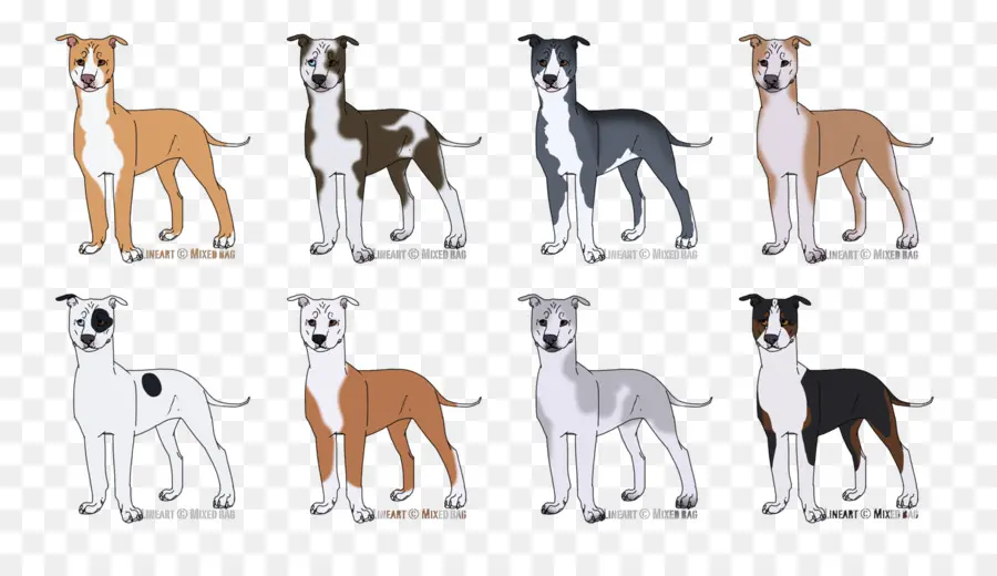 Perros，Canino PNG