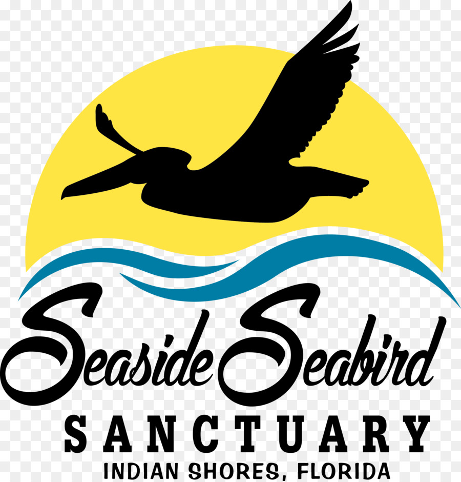 Santuario De Aves Suncoast，Pájaro PNG