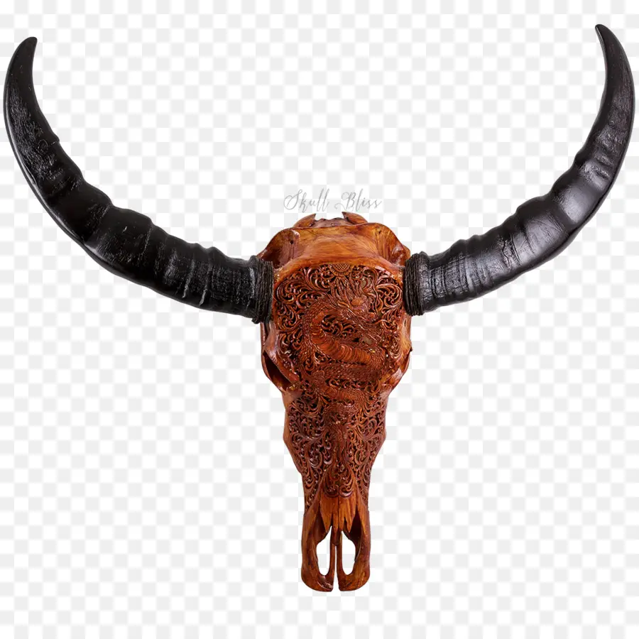 Cráneo De Toro，Cuerna PNG