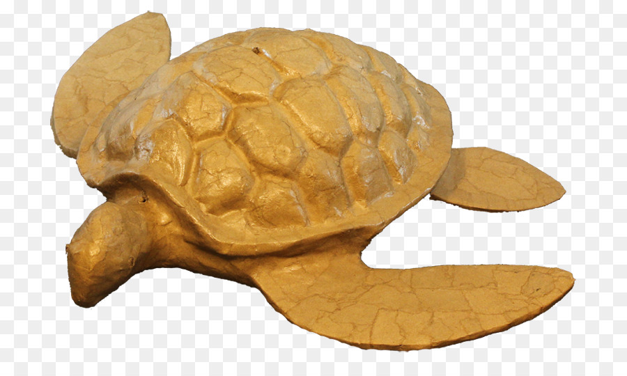 Urna，Tortuga PNG