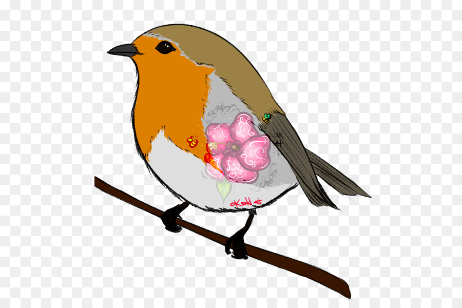 Europea Robin，Pico PNG