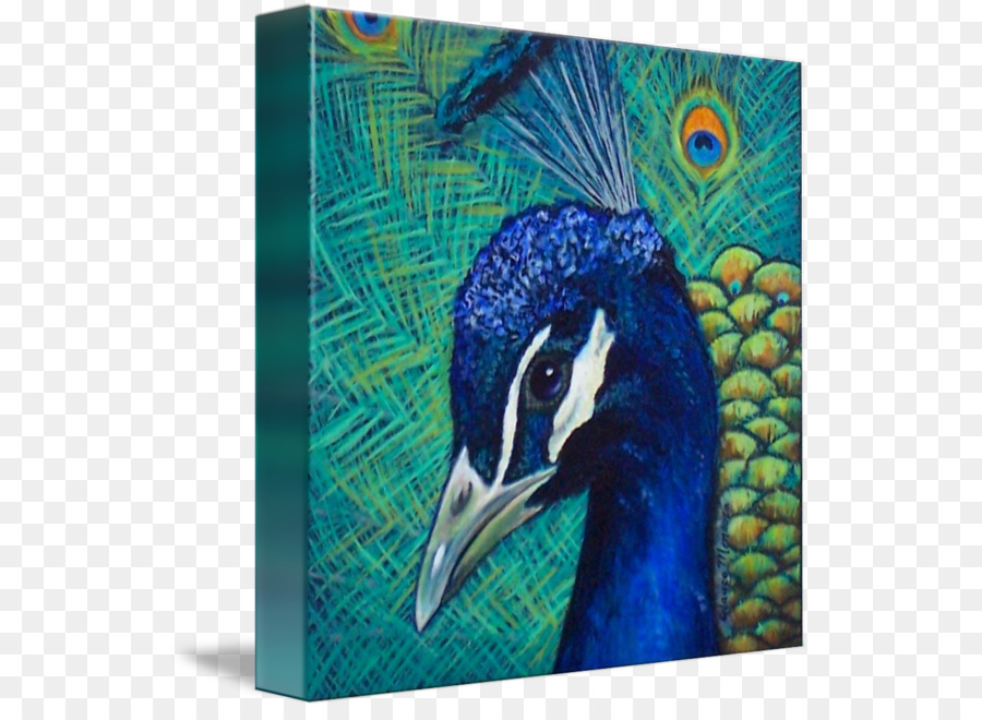 Pintura De Pavo Real，Vistoso PNG