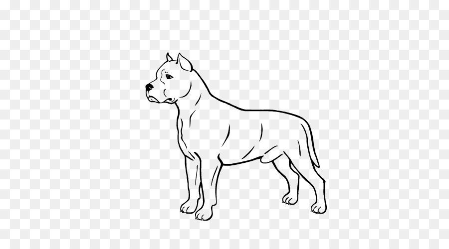 Raza De Perro，Cachorro PNG