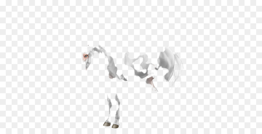 Caballo，Blanco PNG