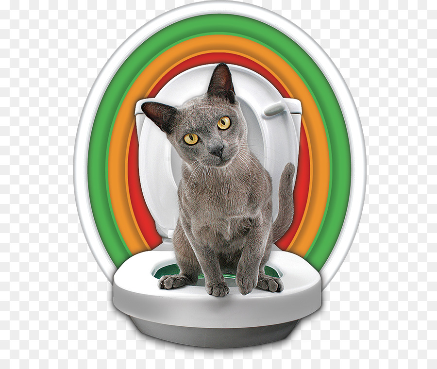 Gato，Gatito PNG