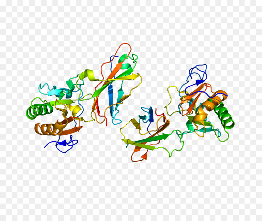 Estructura Proteica，Molécula PNG