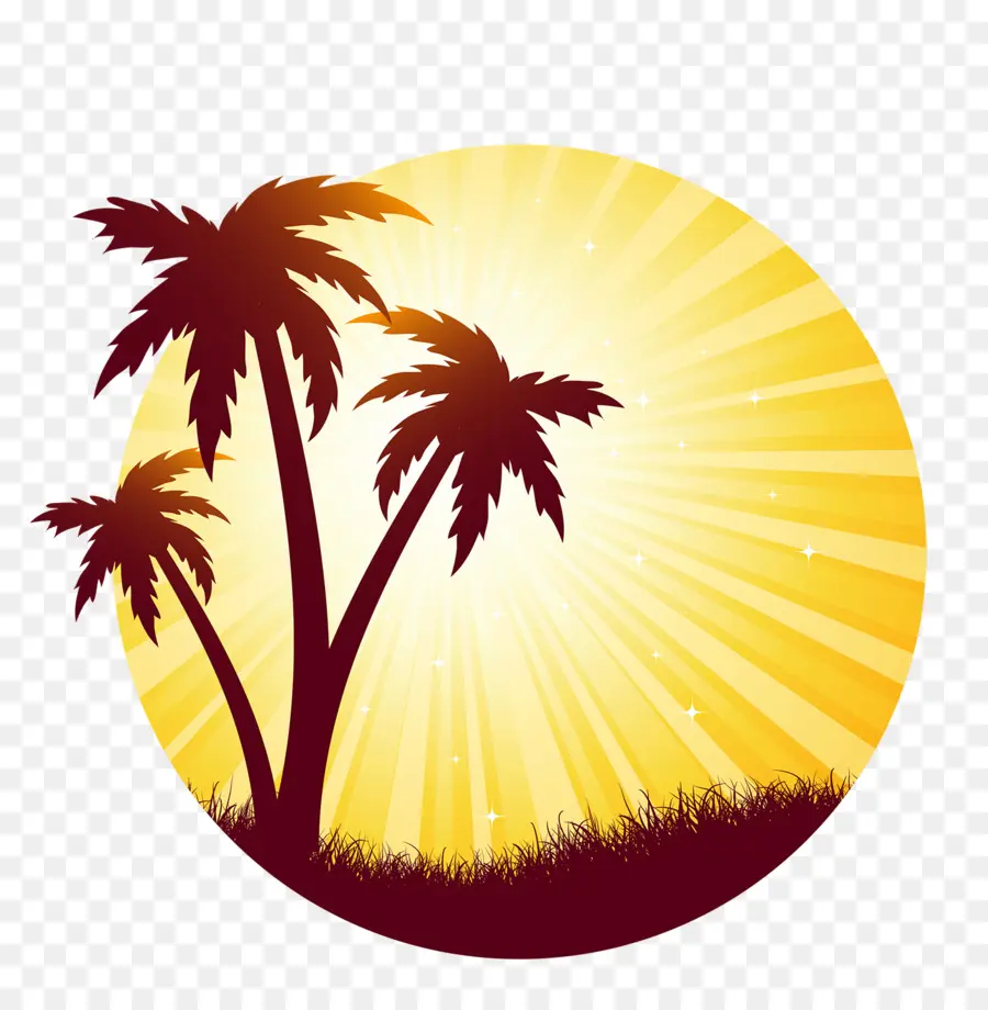 Palmeras，Sol PNG