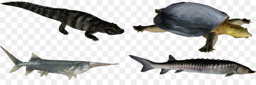Los Animales Terrestres，Dinosaurio PNG